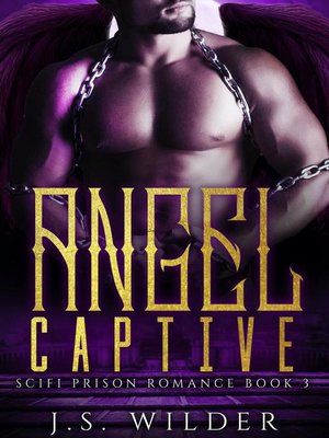 cover image of Angel Captive